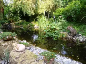 Gartenbau Teiche Flammer