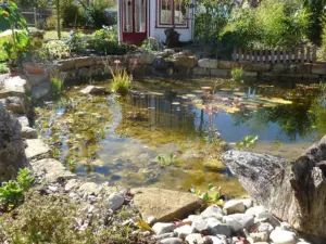 Gartenbau Teiche Flammer