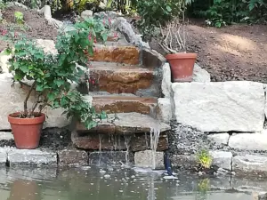 Gartenbau Teiche Flammer